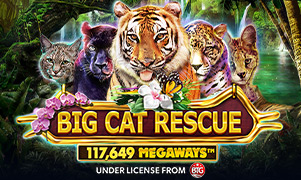 Hình ảnh Big Cat Rescue Megaways tại 789p