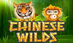 Chinese Wilds tại 789p